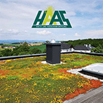 Downloads Broschüre Haas Garten-, Dach- und Landschaftsbau GmbH